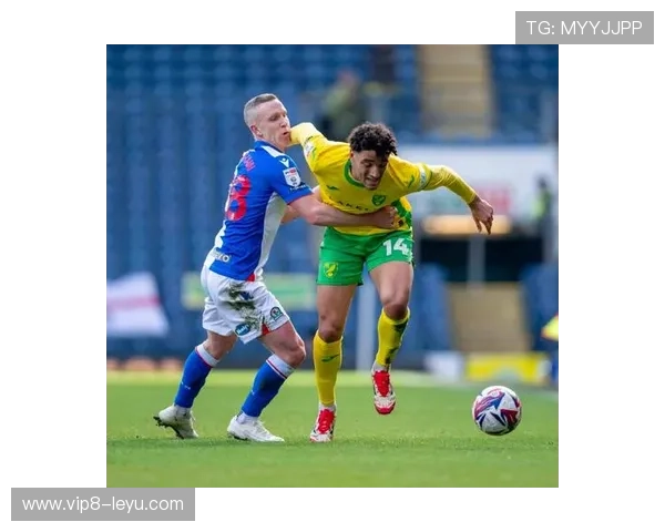 诺维奇金丝雀焕发新生:球队重建之路迎来关键转折 诺维奇金丝雀焕发新生:球队重建之路迎来关键转折